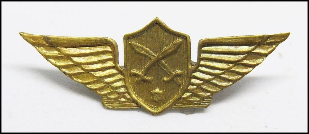 [Badge Gdud Herev]